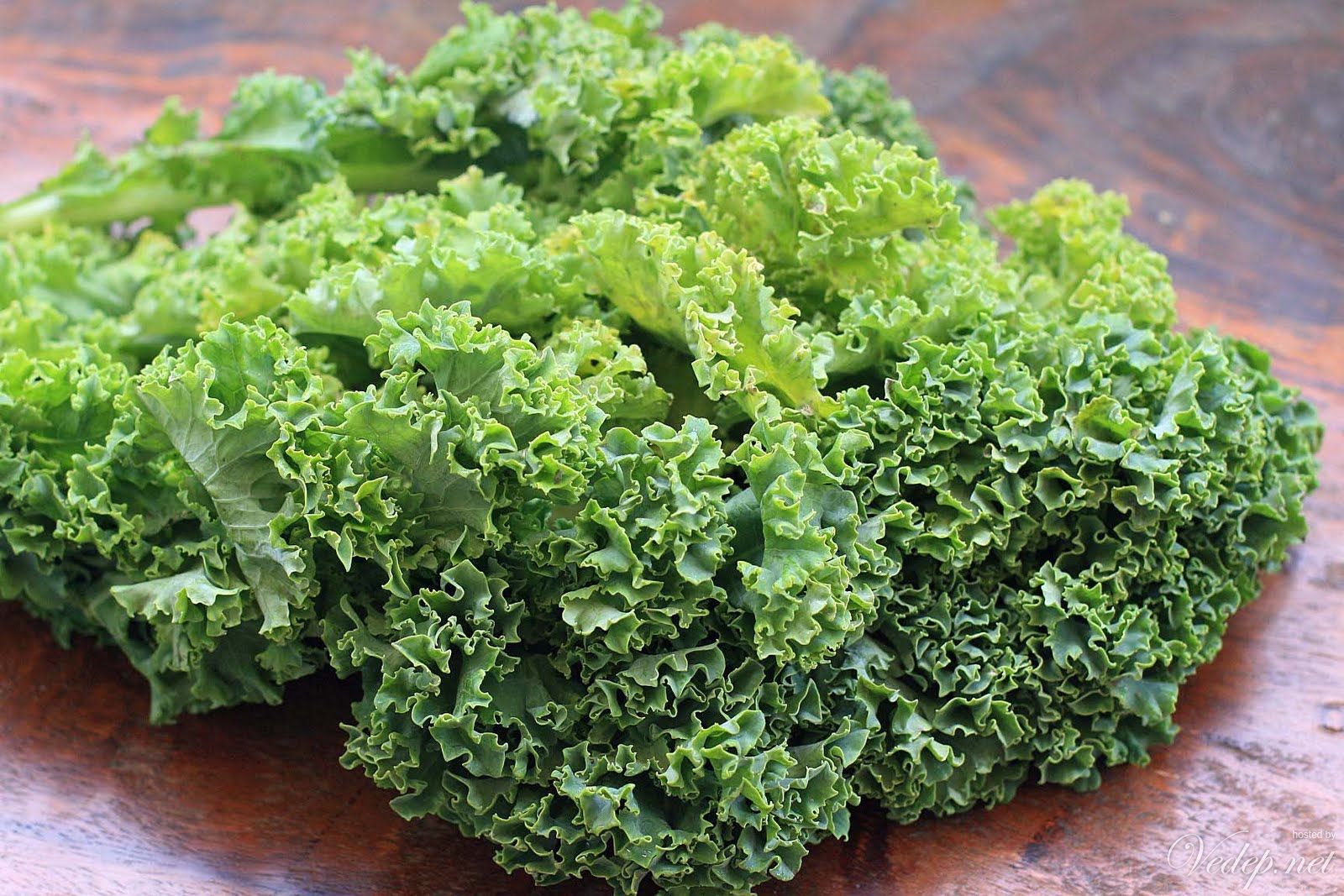 Hạt giống cải xoăn Lacinato Kale - Siêu thị hạt giống rau cải